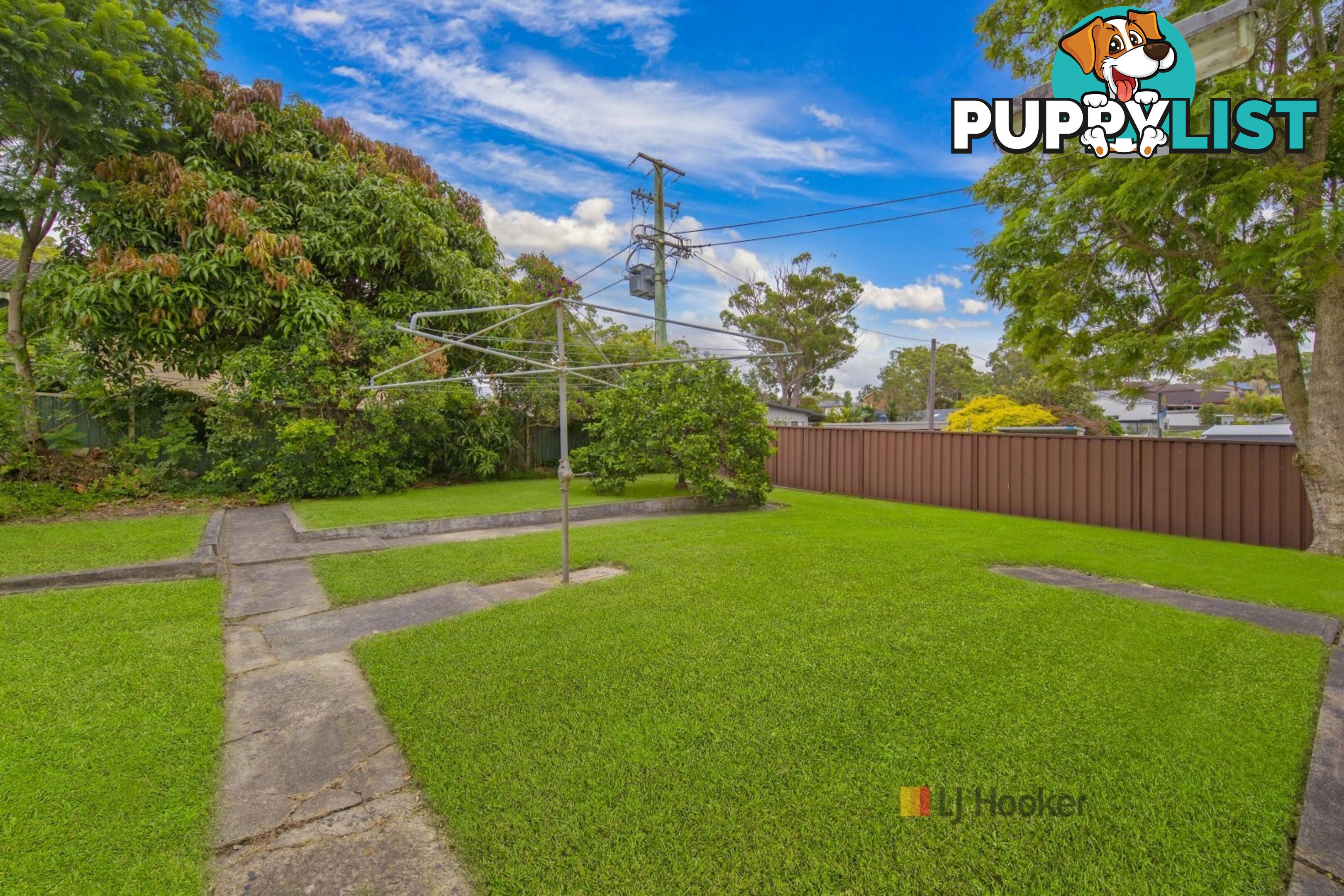 134 Sunrise Avenue HALEKULANI NSW 2262