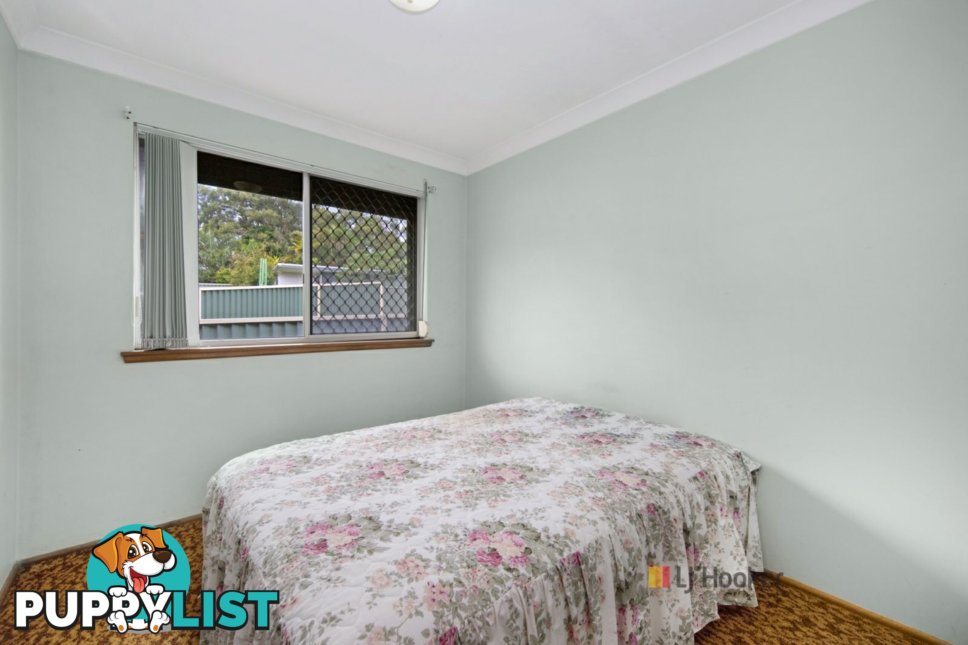 134 Sunrise Avenue HALEKULANI NSW 2262