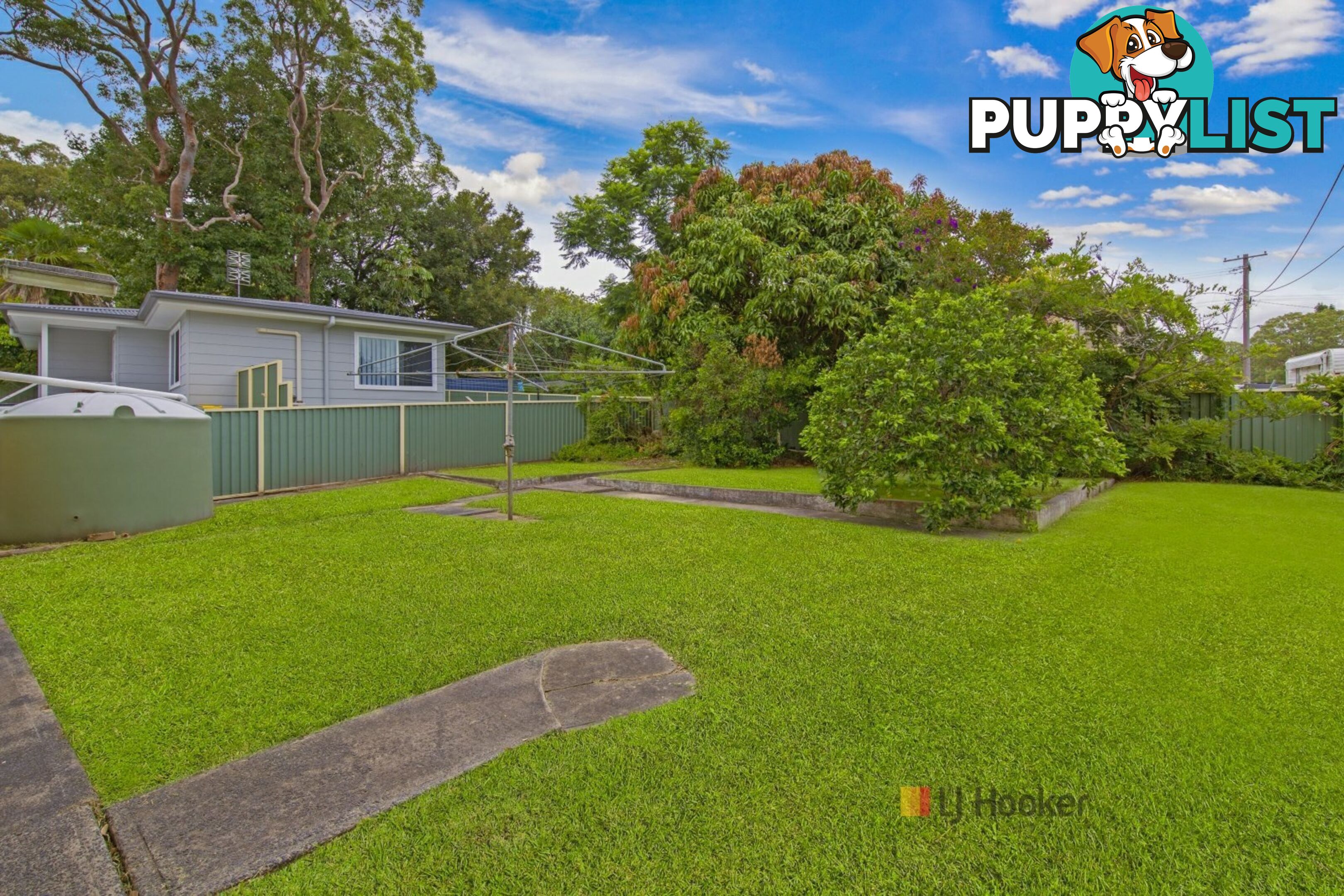 134 Sunrise Avenue HALEKULANI NSW 2262