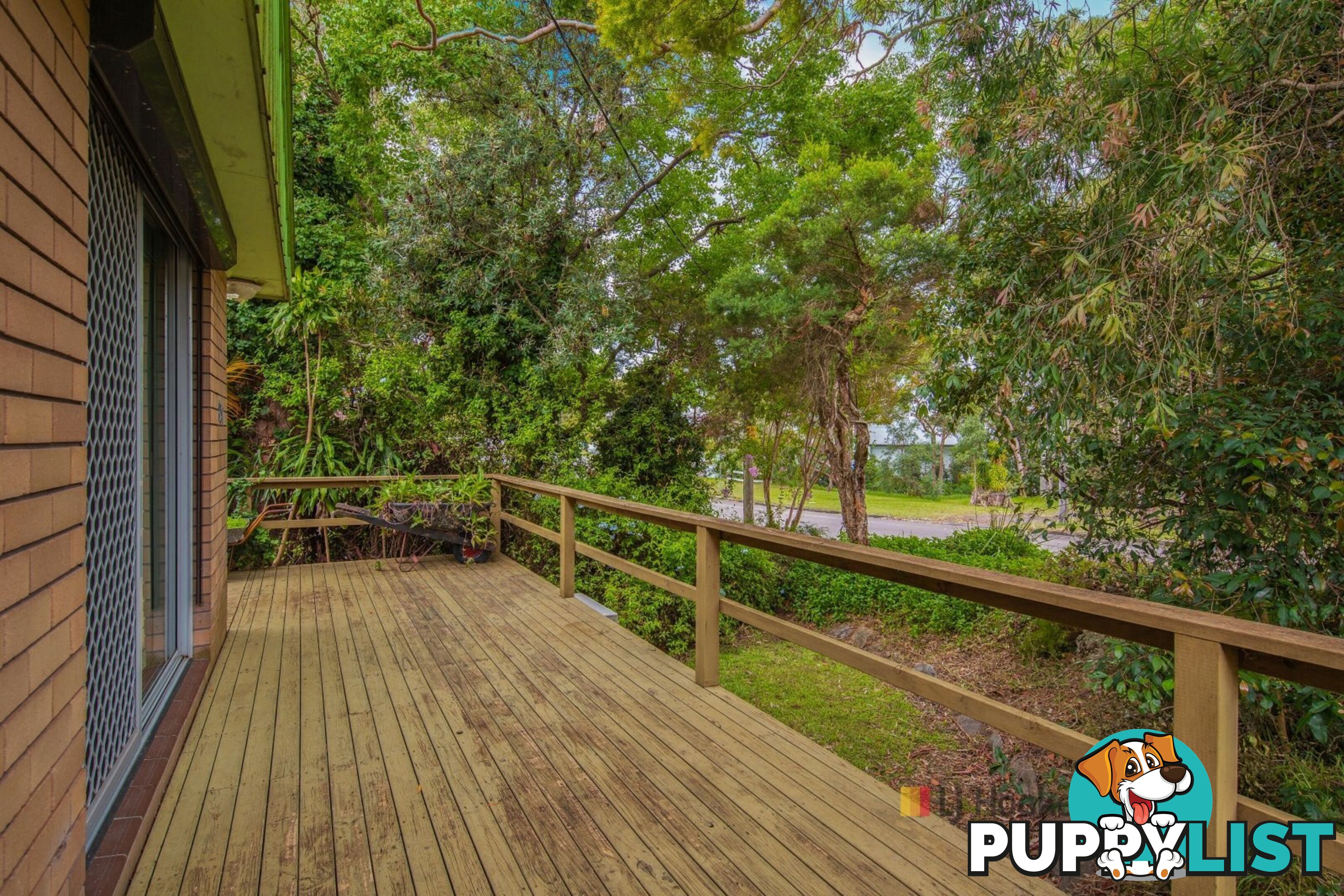 134 Sunrise Avenue HALEKULANI NSW 2262