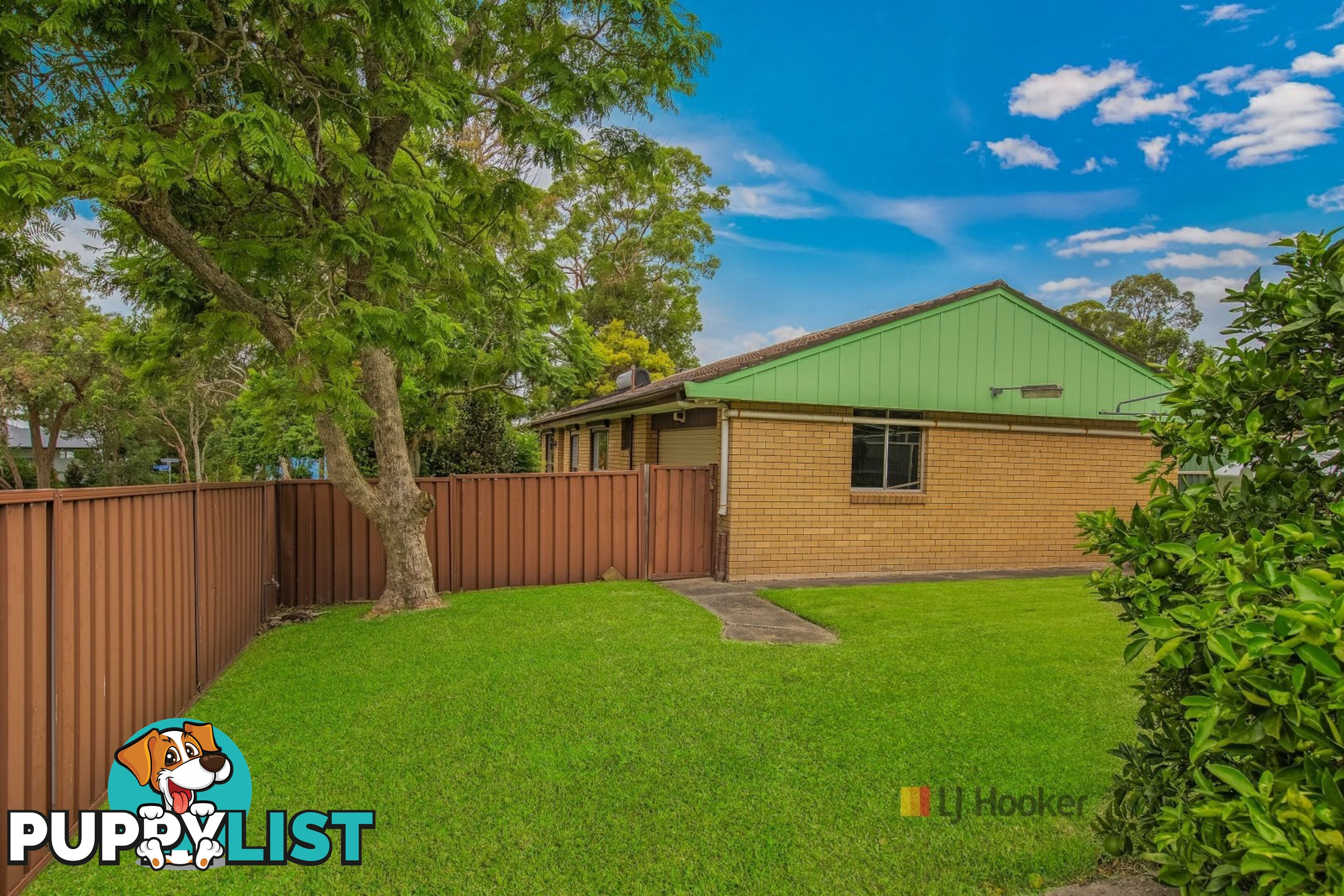 134 Sunrise Avenue HALEKULANI NSW 2262