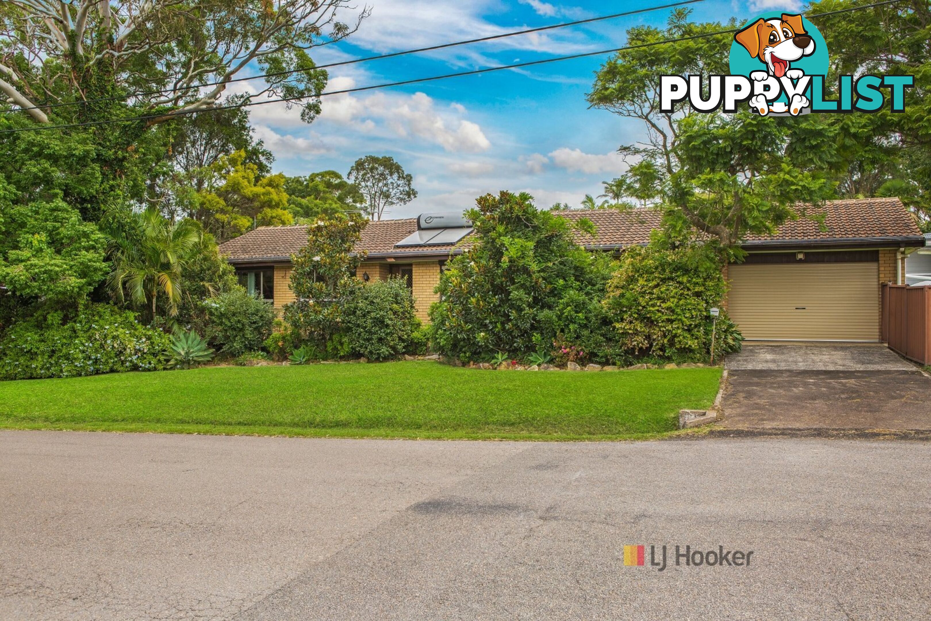 134 Sunrise Avenue HALEKULANI NSW 2262