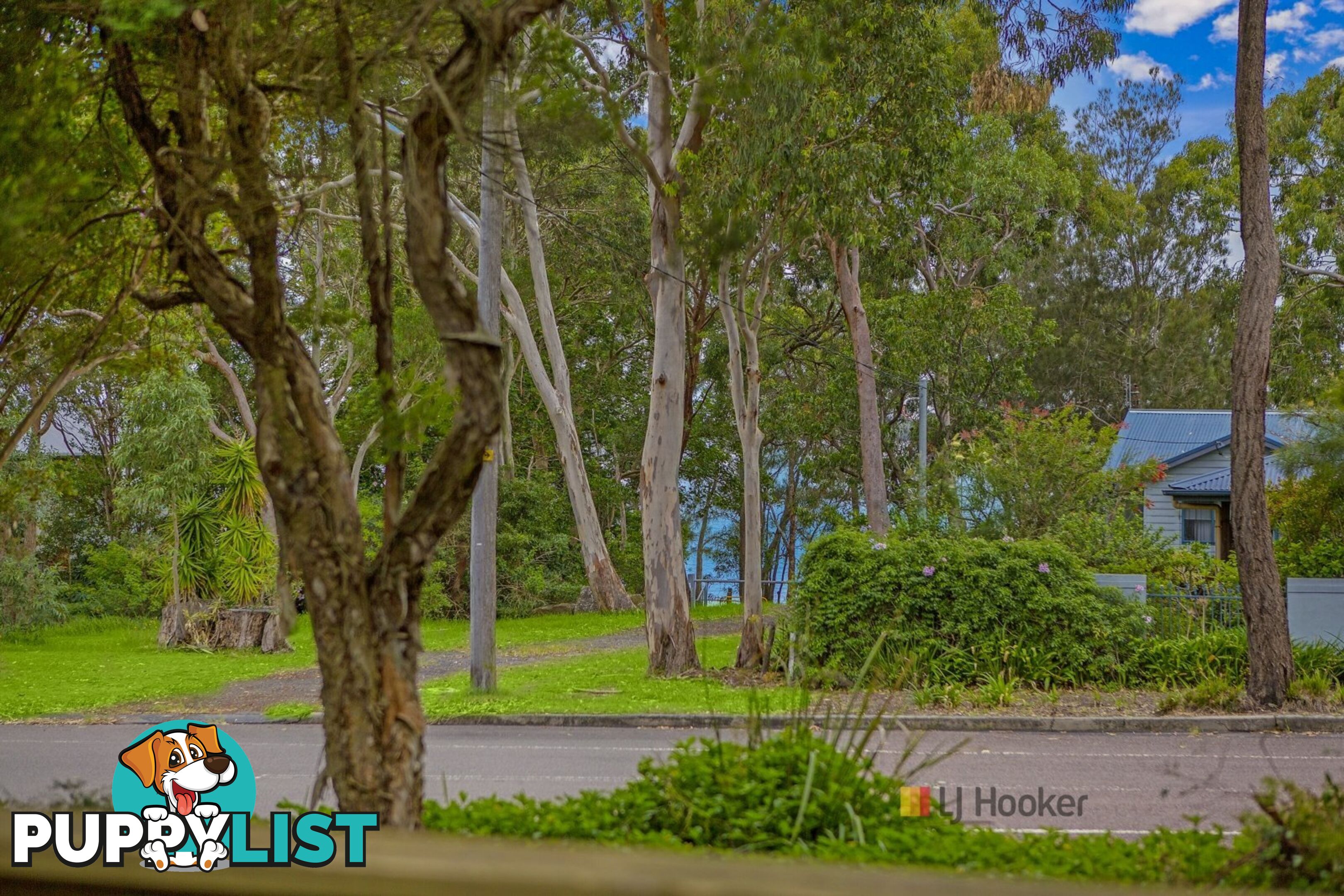 134 Sunrise Avenue HALEKULANI NSW 2262