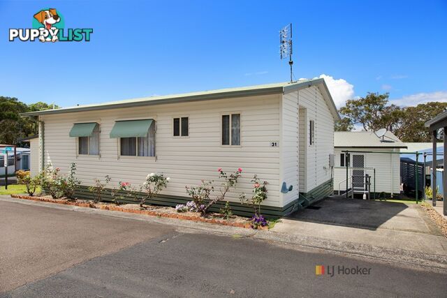 31/186 Sunrise Avenue HALEKULANI NSW 2262