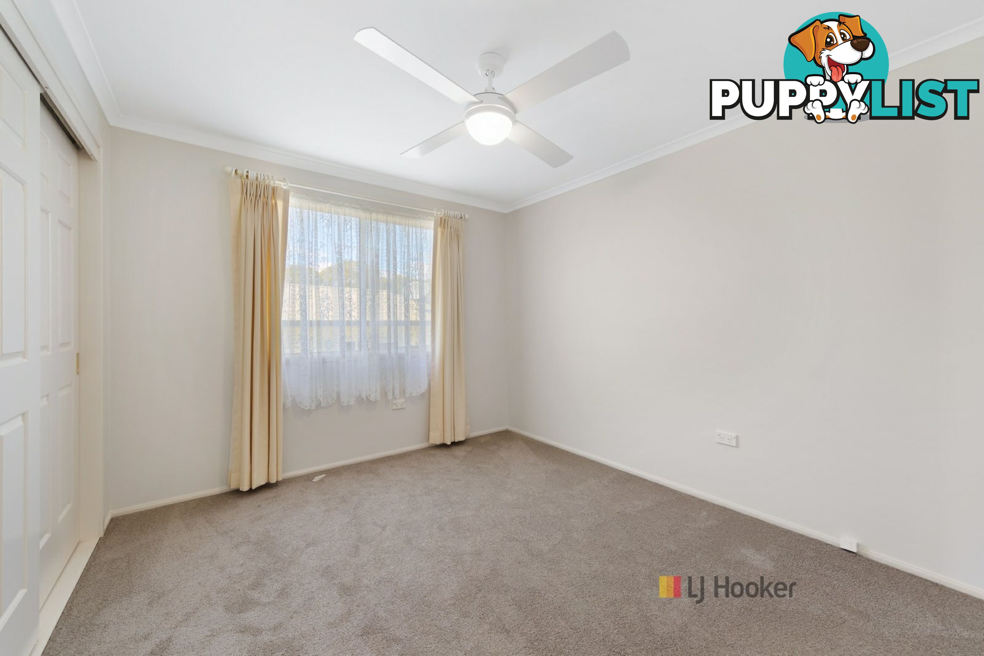 31/186 Sunrise Avenue HALEKULANI NSW 2262