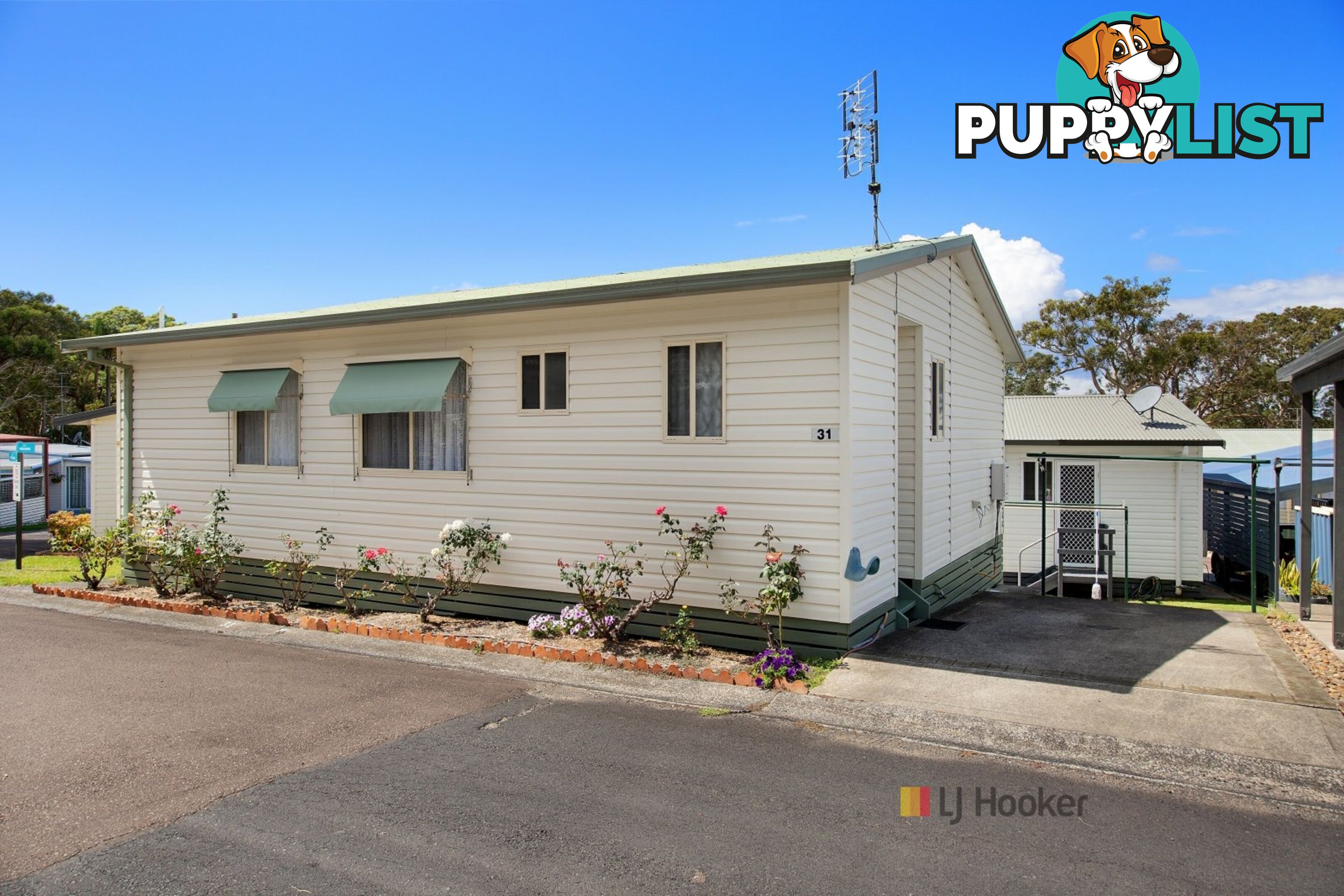 31/186 Sunrise Avenue HALEKULANI NSW 2262