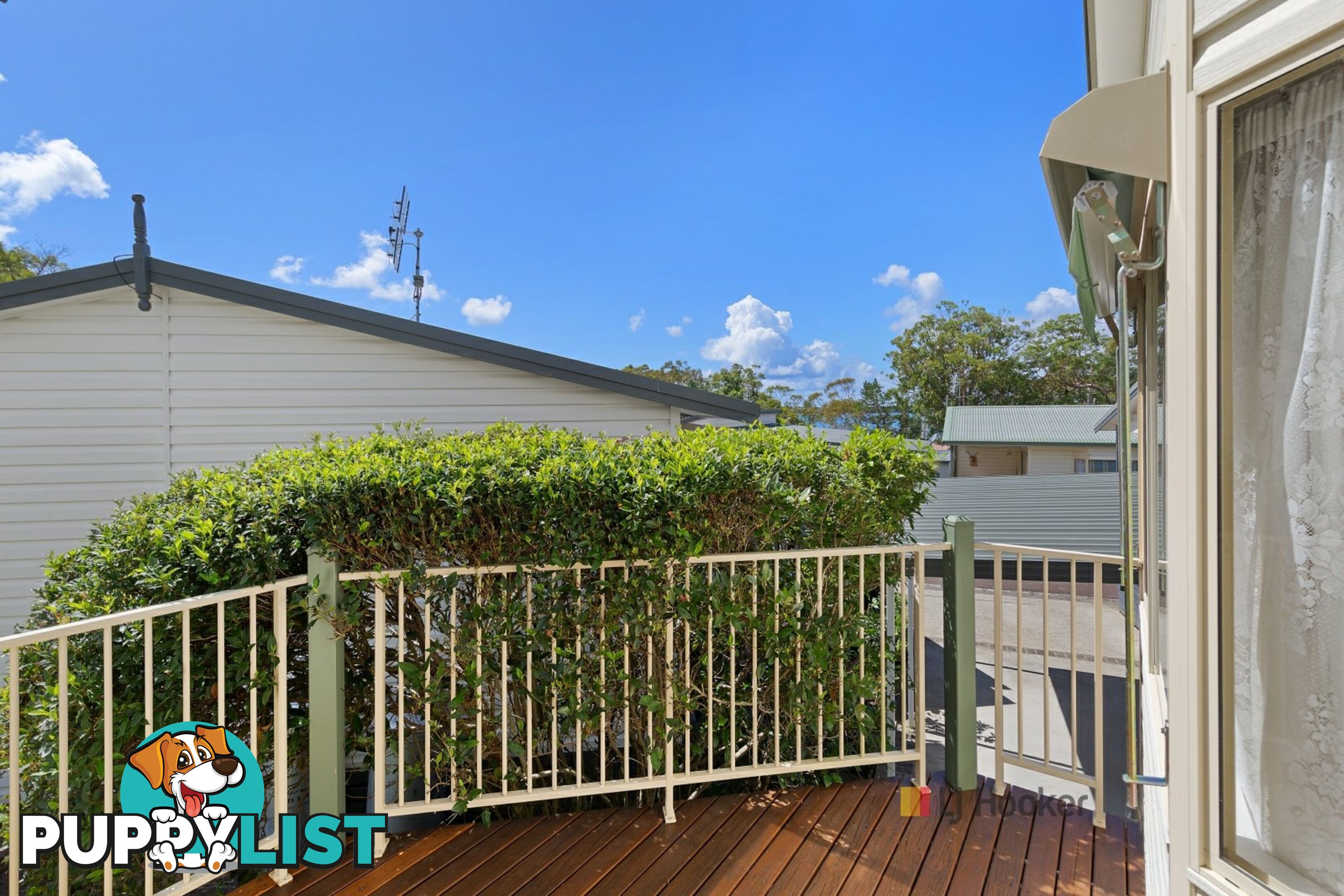 31/186 Sunrise Avenue HALEKULANI NSW 2262