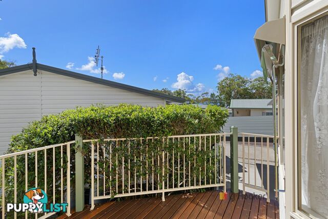 31/186 Sunrise Avenue HALEKULANI NSW 2262