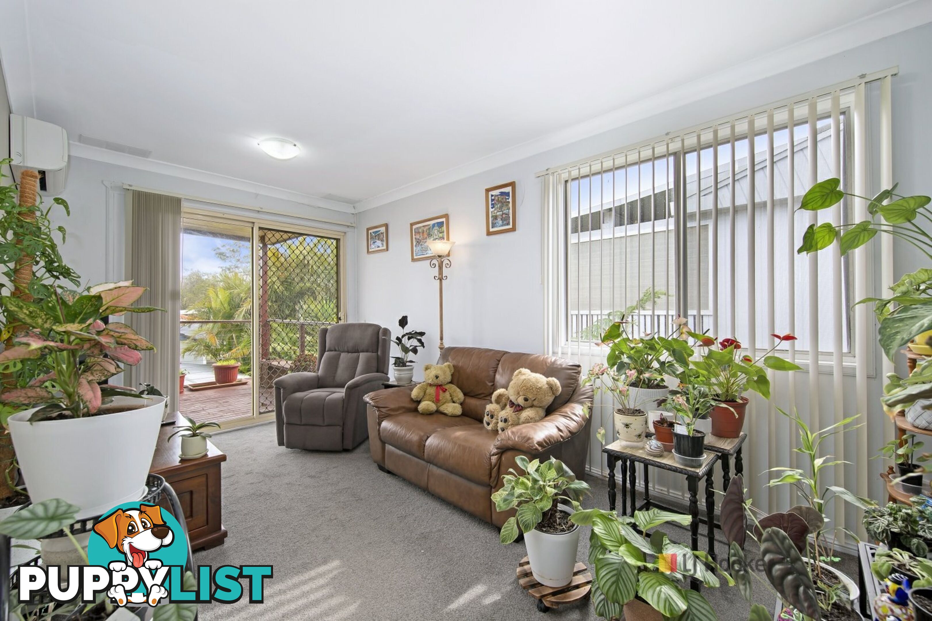56 Laelana Avenue HALEKULANI NSW 2262