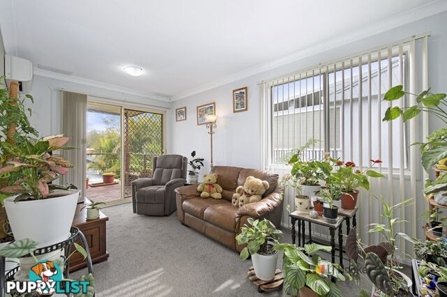 56 Laelana Avenue HALEKULANI NSW 2262