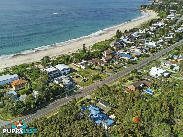 3/112 Budgewoi Road NORAVILLE NSW 2263