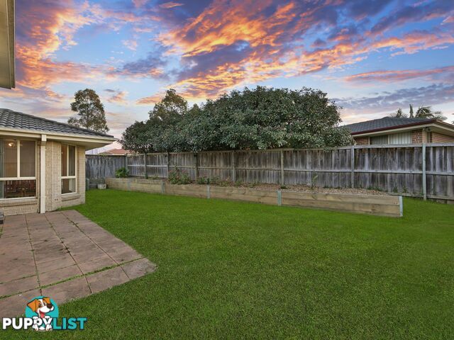 9 Washpool Crescent WOONGARRAH NSW 2259