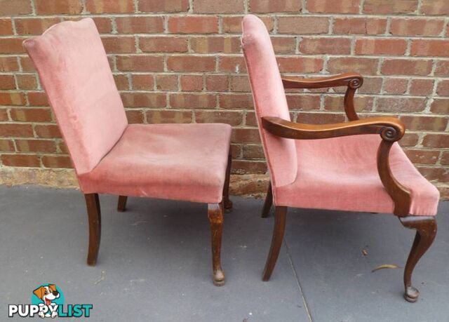 5 Matching Queen Anne Antique Timber Upholstered Carver Chairs