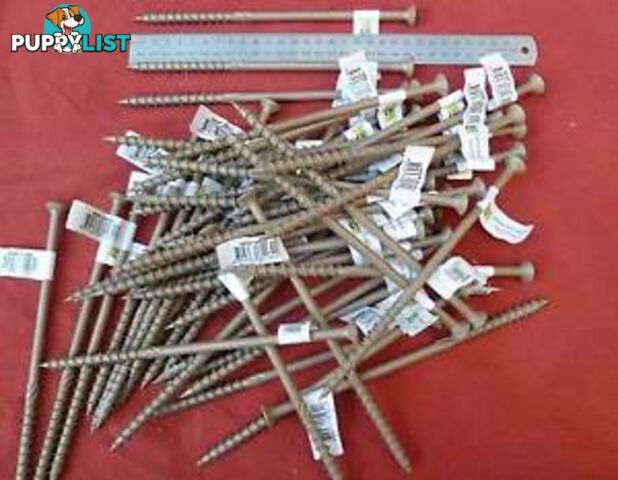 Fifty (50) Bugle Head Batten Timber Screws 16G x 250 mm