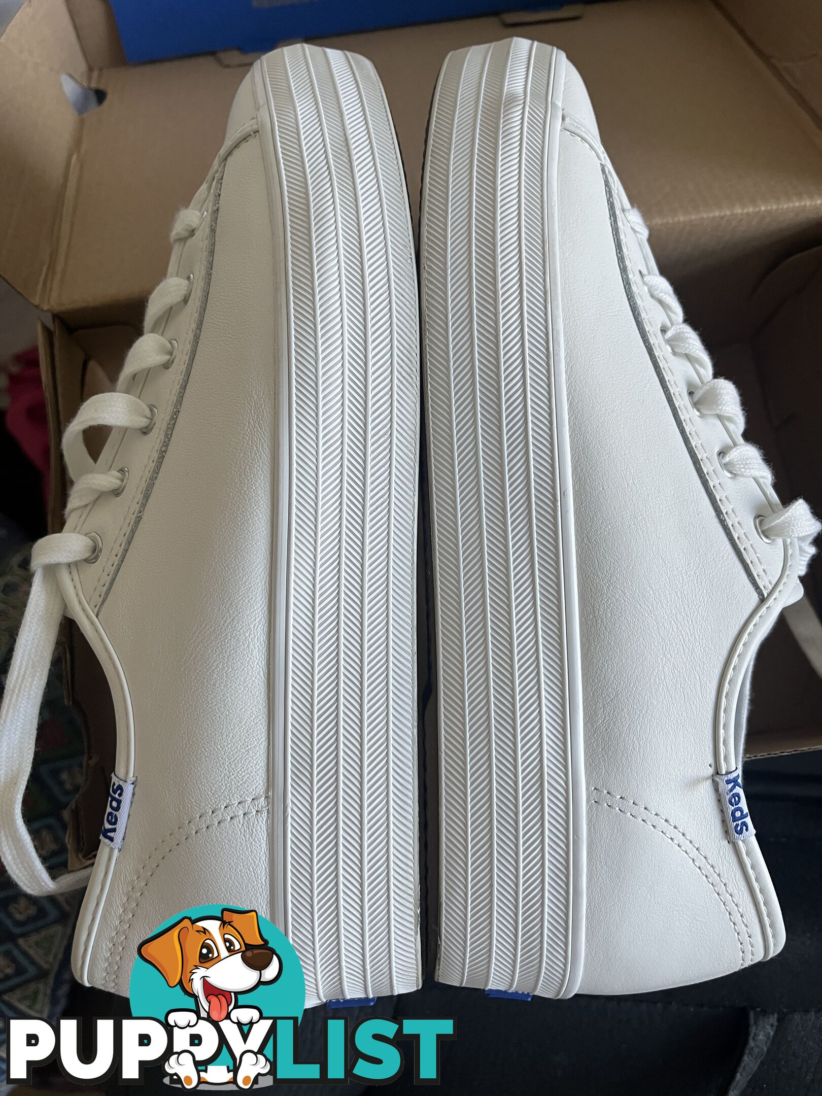 Brand New White Keds $49