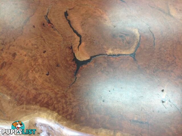 Burl wood coffee table. Nice slab of burl on top