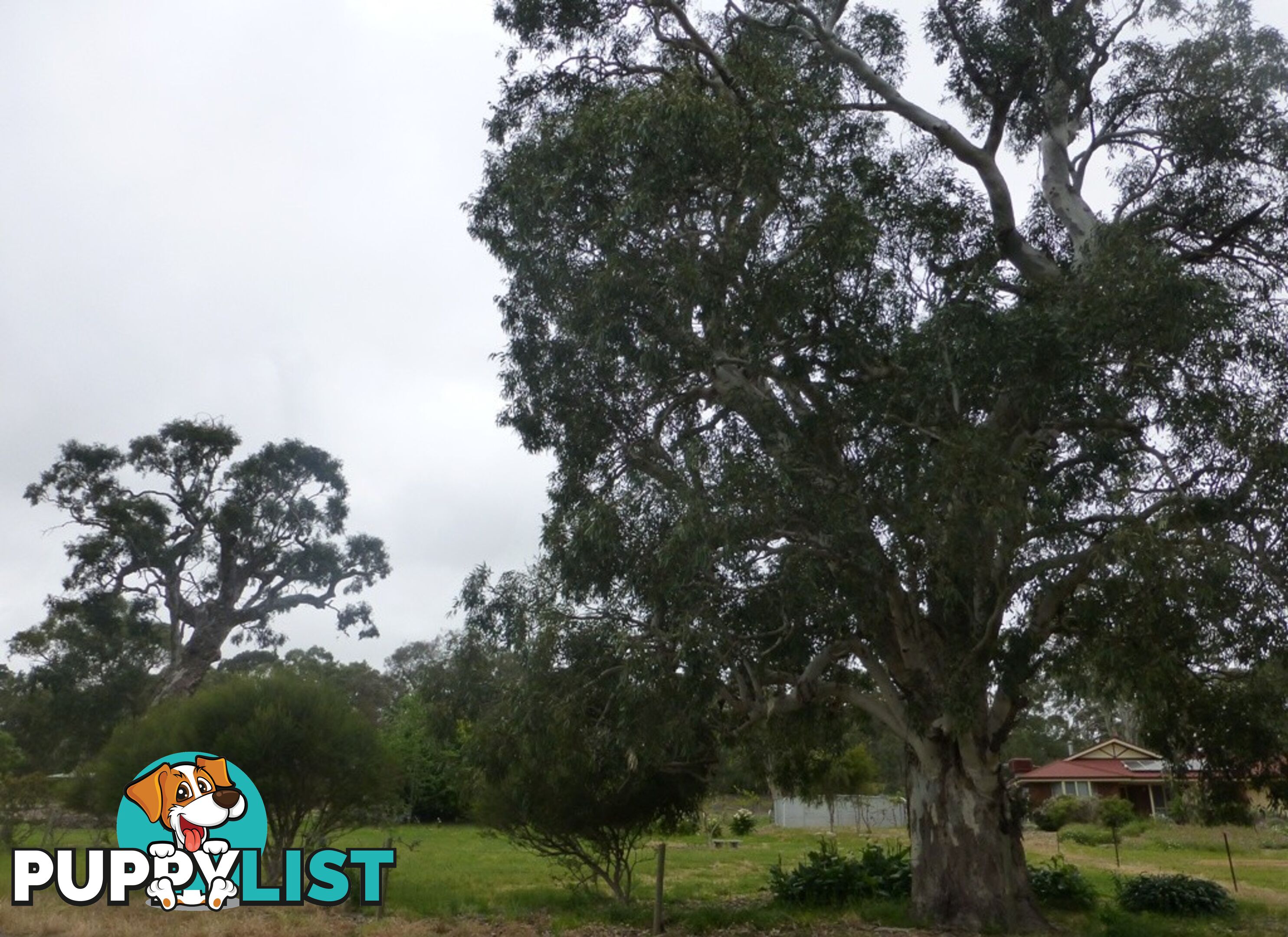 Lot 36 Bull Creek Road ASHBOURNE SA 5157