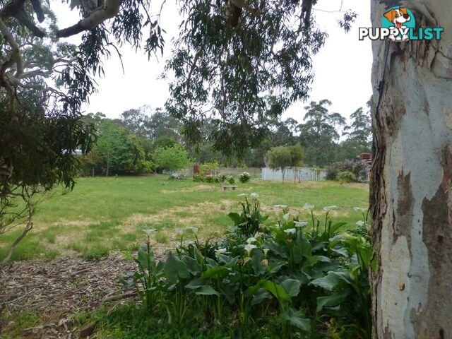 Lot 36 Bull Creek Road ASHBOURNE SA 5157