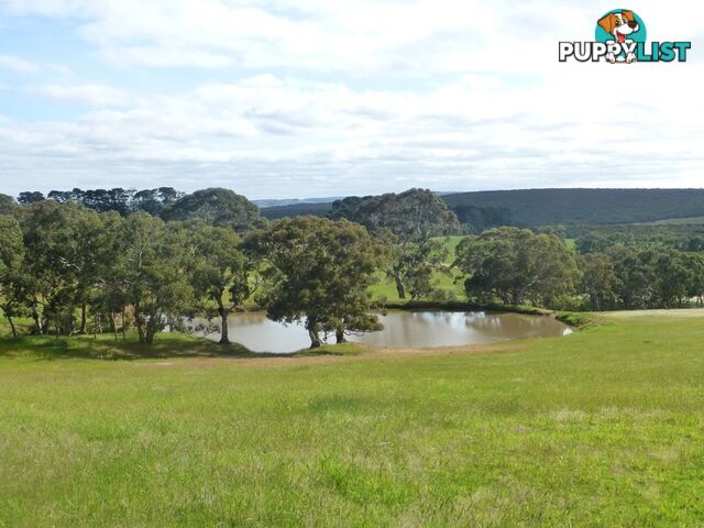 Lots 3, 4 Bull Creek Road ASHBOURNE SA 5157