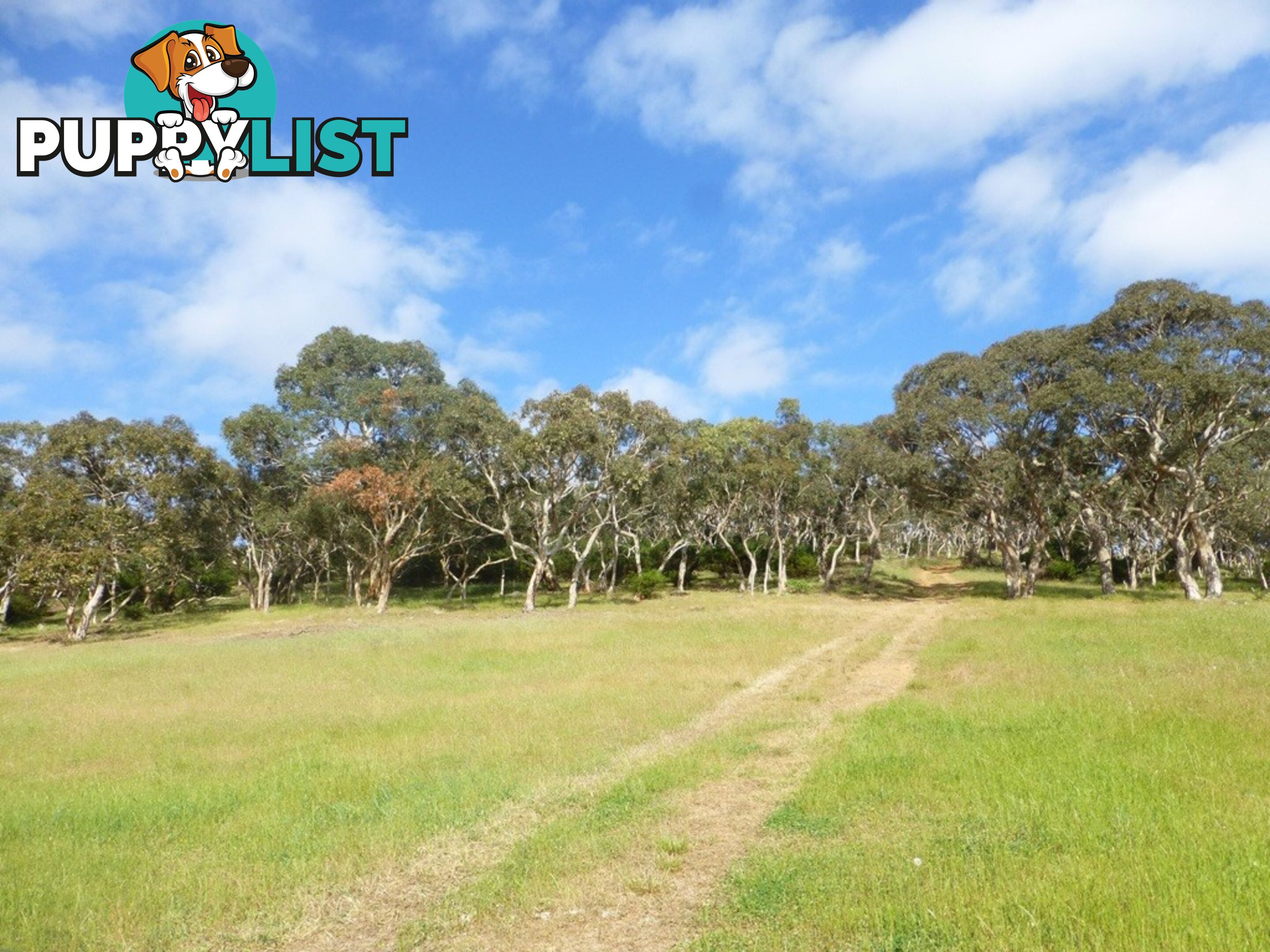 Lots 3, 4 Bull Creek Road ASHBOURNE SA 5157