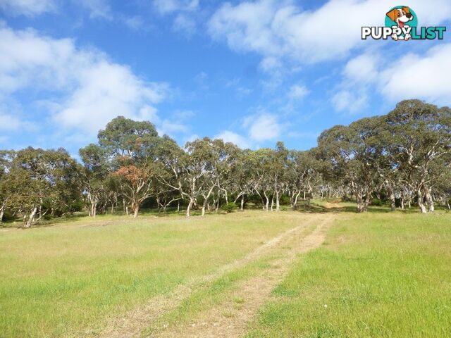 Lots 3, 4 Bull Creek Road ASHBOURNE SA 5157