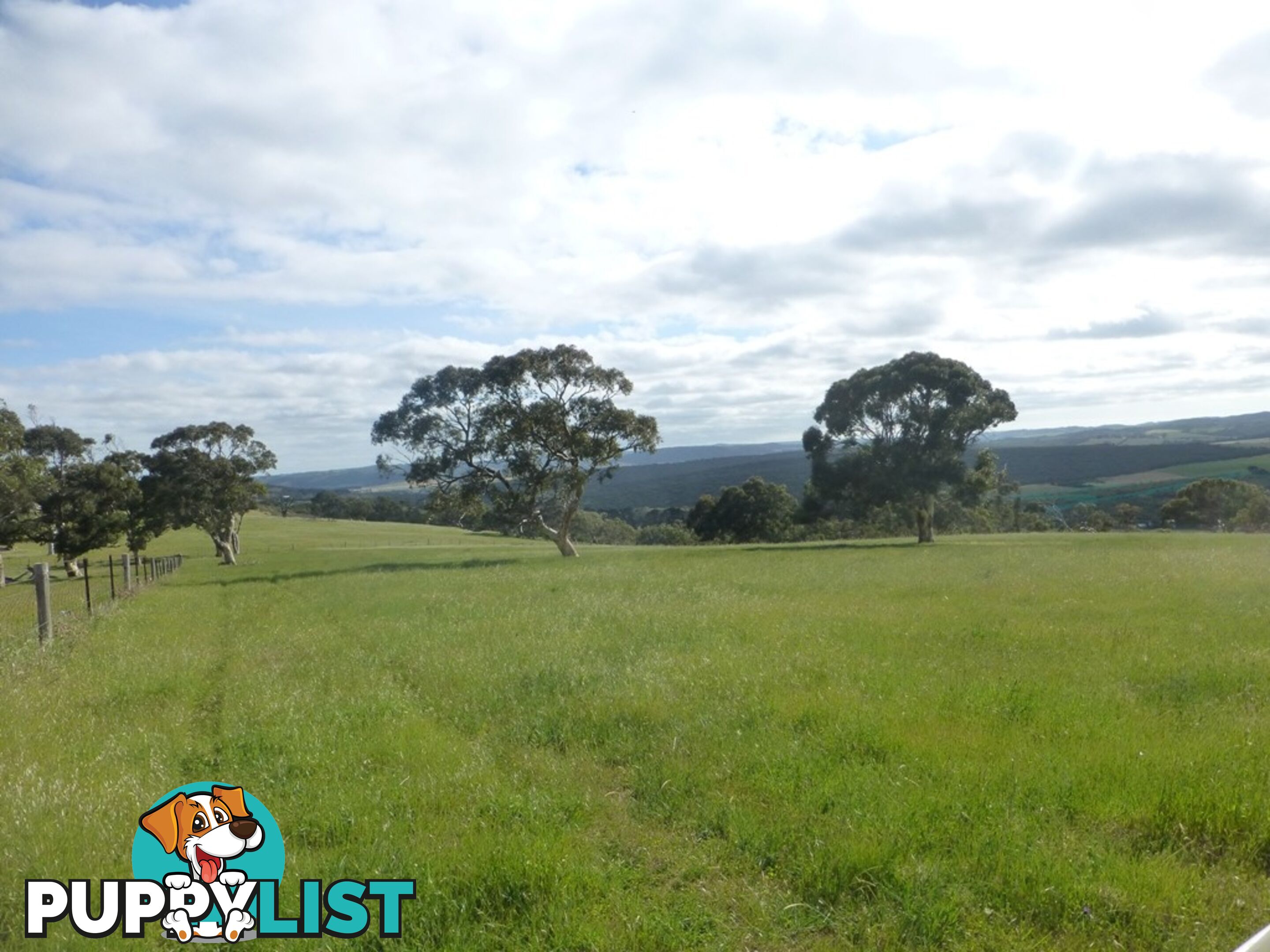 Lots 3, 4 Bull Creek Road ASHBOURNE SA 5157