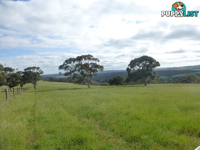 Lots 3, 4 Bull Creek Road ASHBOURNE SA 5157