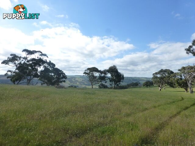 Lots 3, 4 Bull Creek Road ASHBOURNE SA 5157