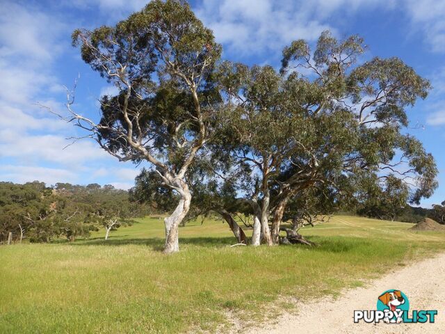 Lots 3, 4 Bull Creek Road ASHBOURNE SA 5157