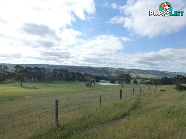 Lots 3, 4 Bull Creek Road ASHBOURNE SA 5157