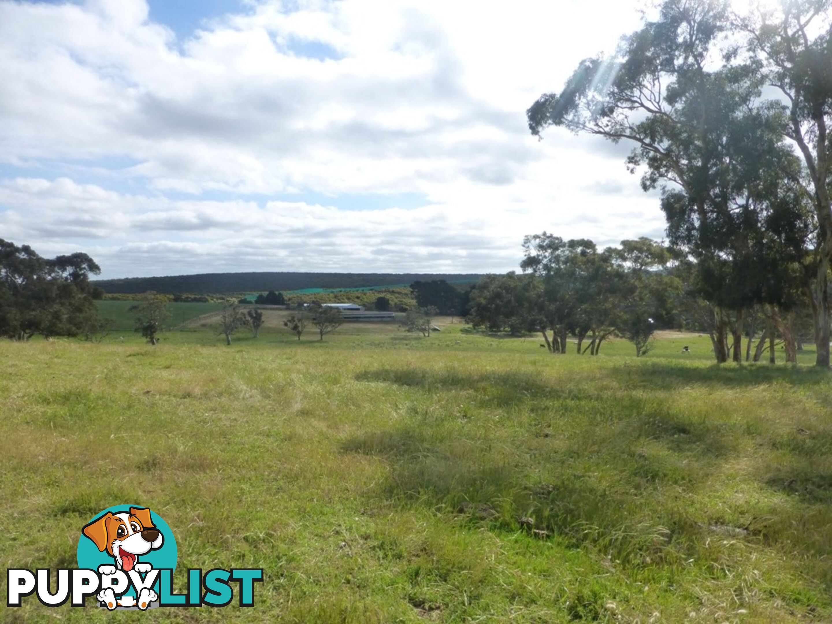 Lots 3, 4 Bull Creek Road ASHBOURNE SA 5157