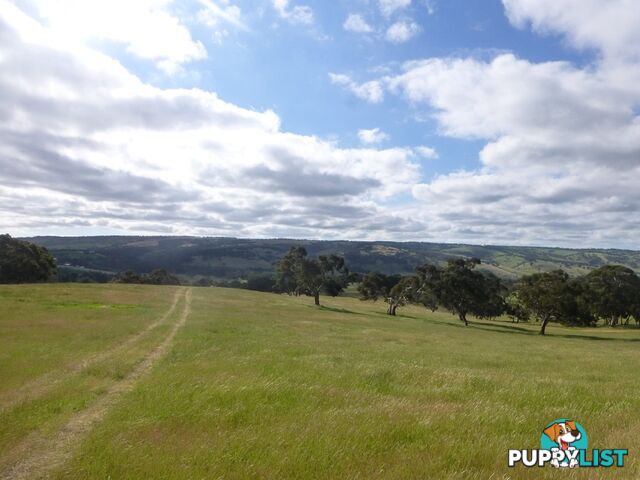 Lots 3, 4 Bull Creek Road ASHBOURNE SA 5157