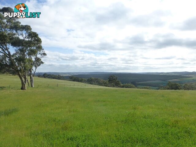 Lots 3, 4 Bull Creek Road ASHBOURNE SA 5157