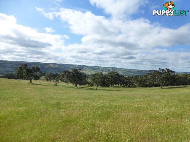 Lots 3, 4 Bull Creek Road ASHBOURNE SA 5157