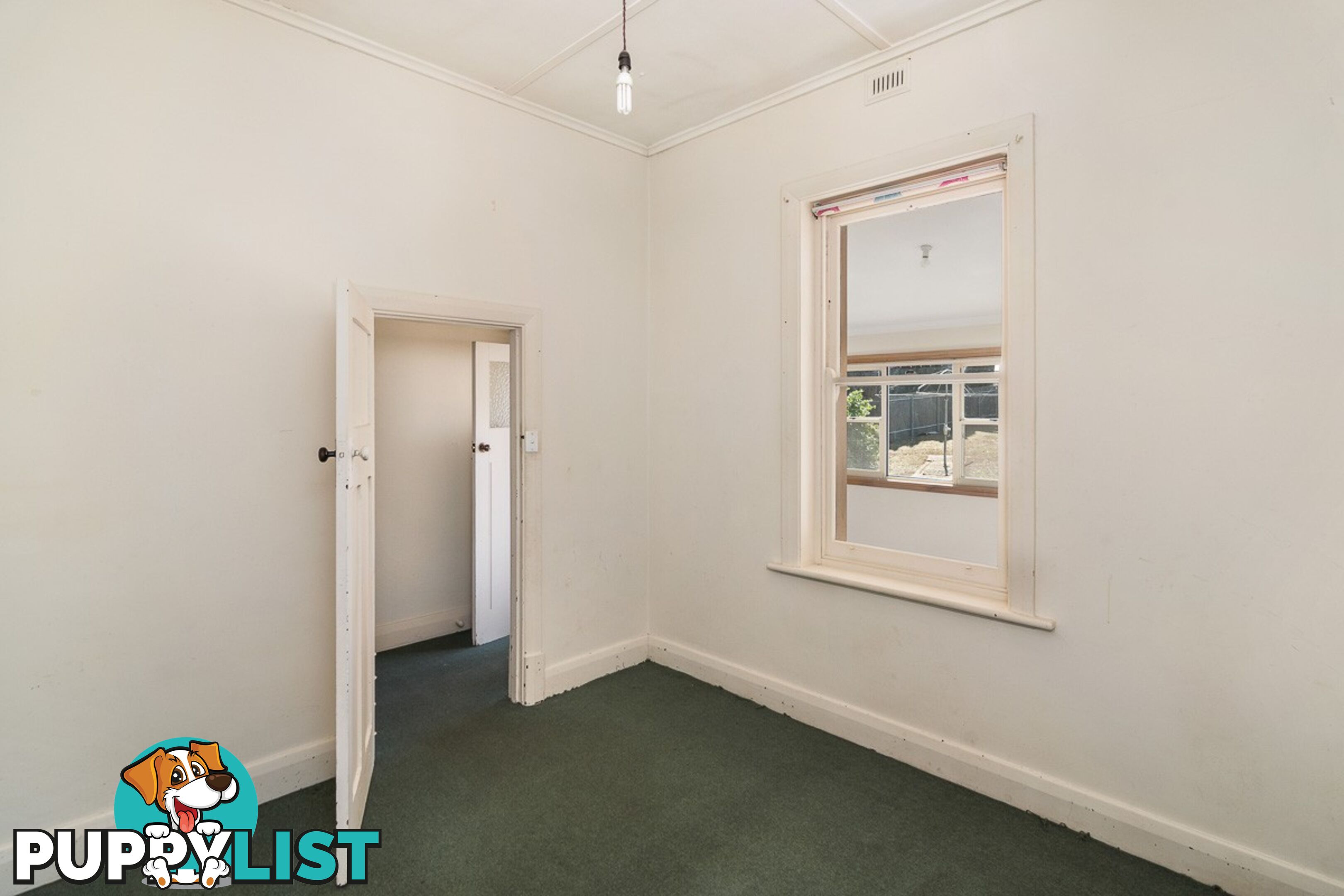 6 Alfred Place STRATHALBYN SA 5255