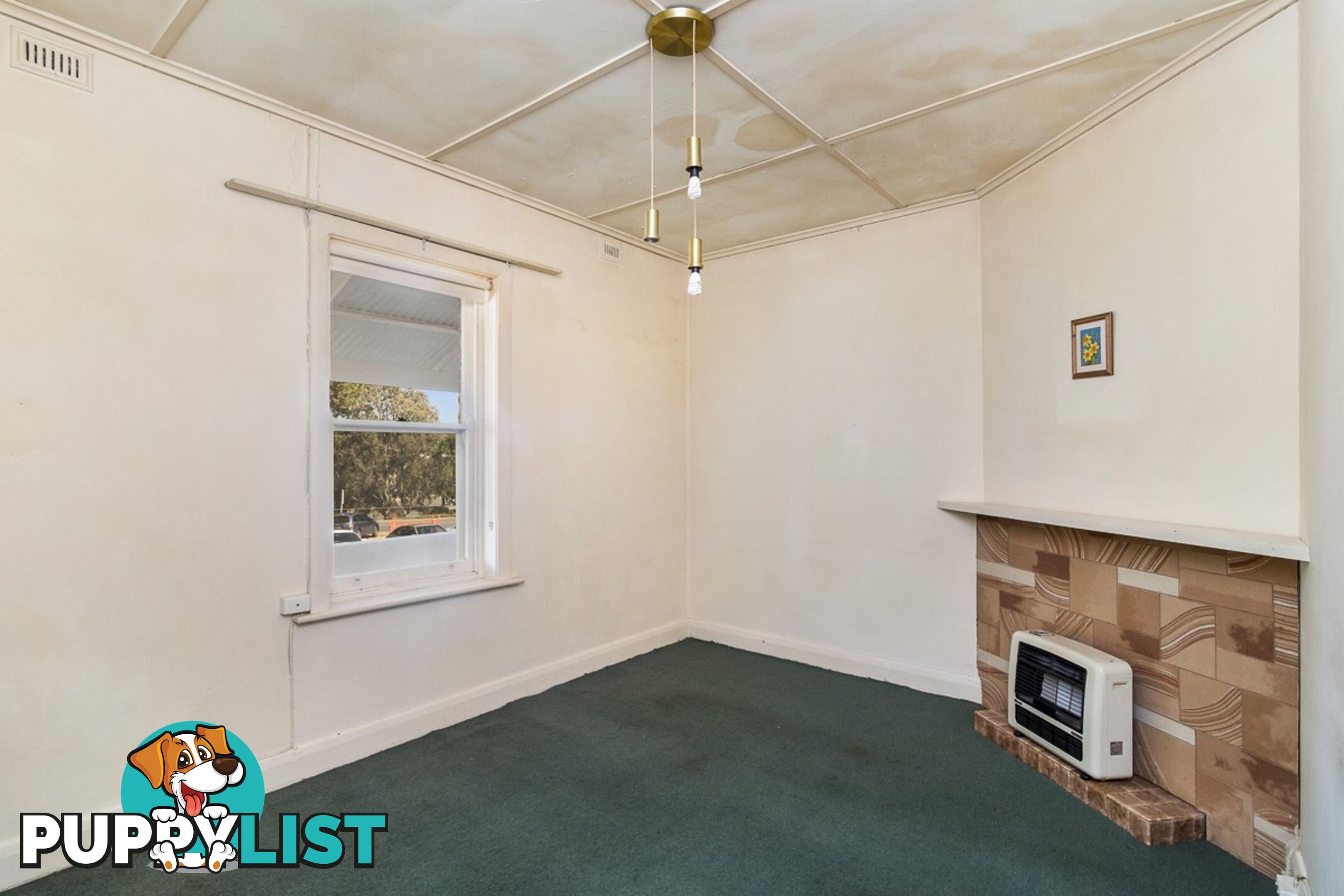 6 Alfred Place STRATHALBYN SA 5255