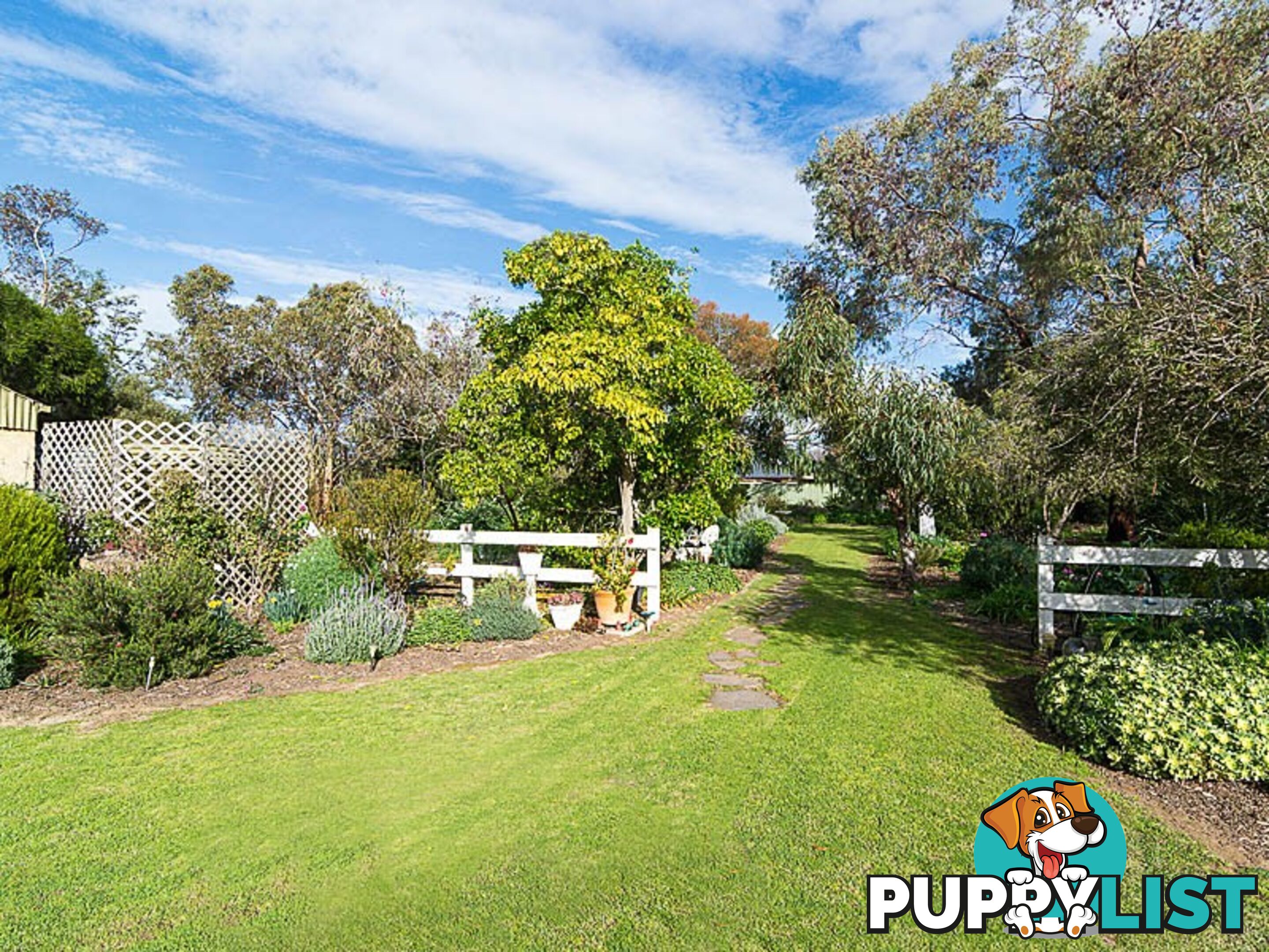 6 Love Avenue STRATHALBYN SA 5255