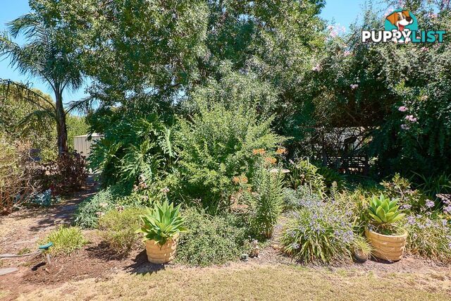 6 Love Avenue STRATHALBYN SA 5255