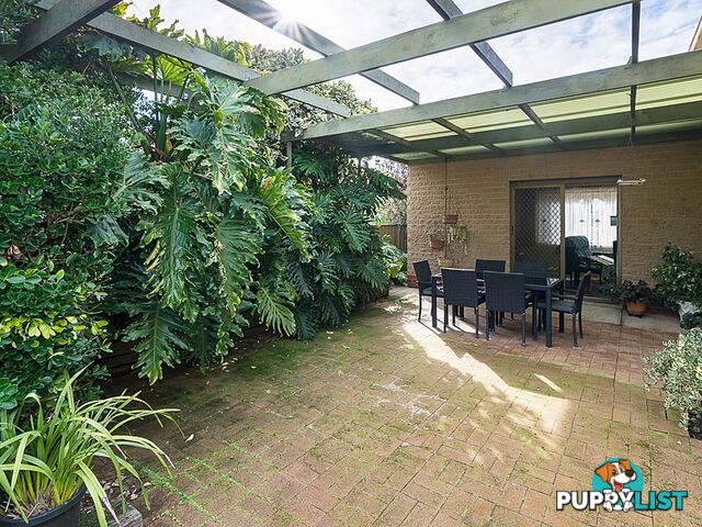 6 Love Avenue STRATHALBYN SA 5255