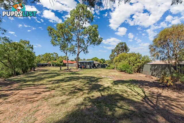 11 Fresian Drive STRATHALBYN SA 5255