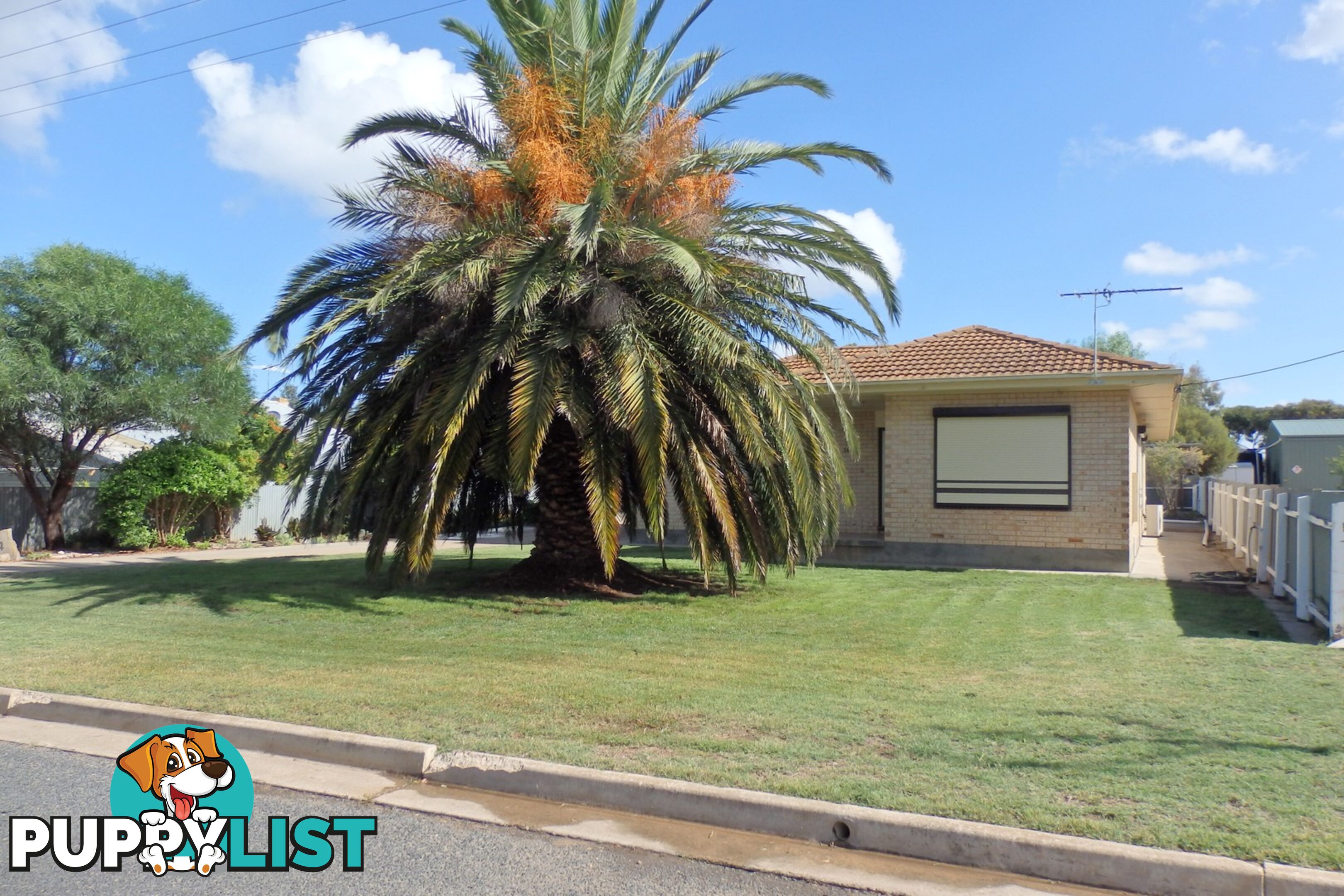 34 Watson Street MILANG SA 5256