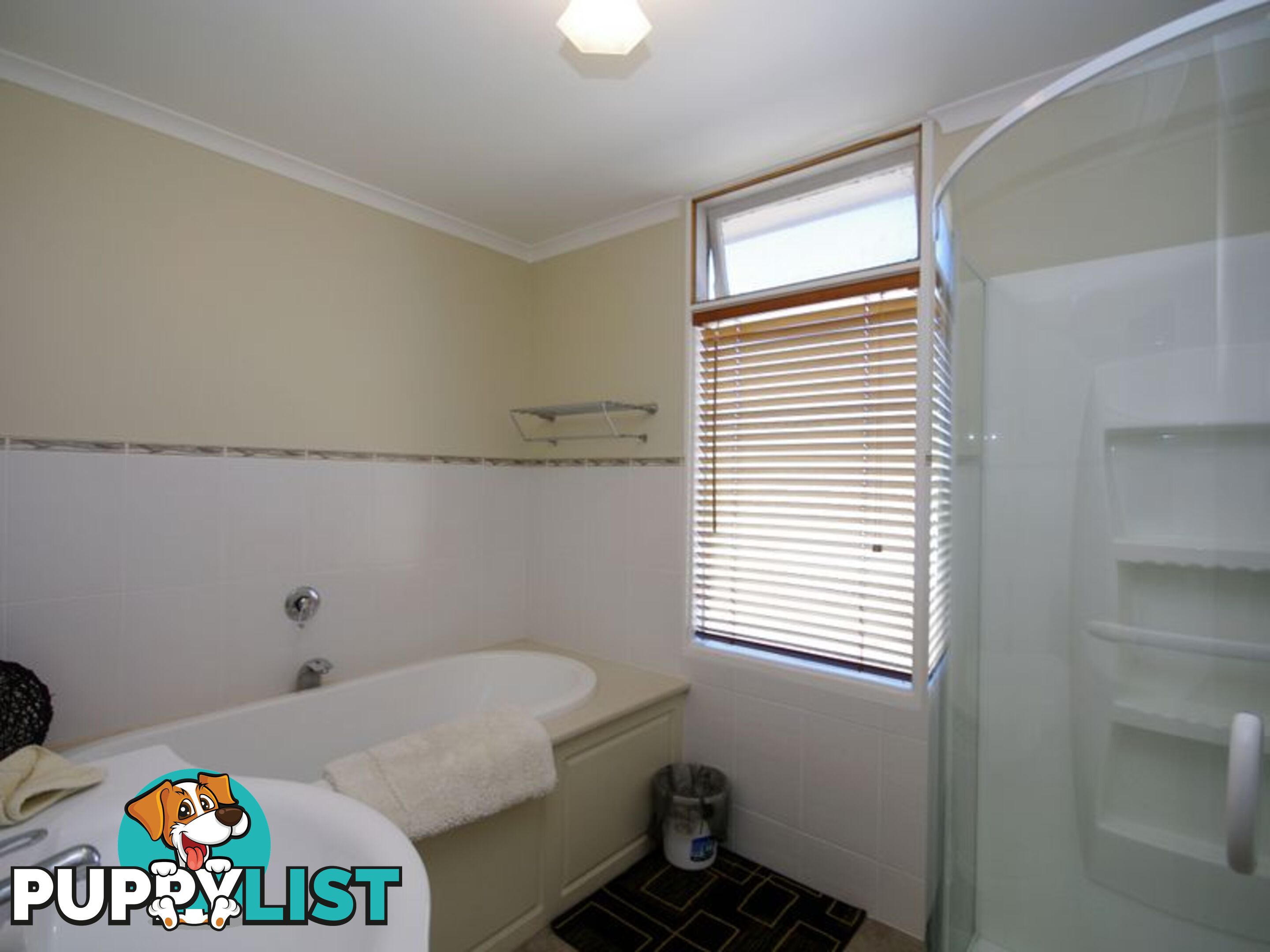 15 Weily Avenue BICHENO TAS 7215