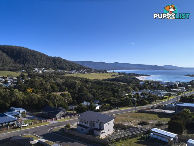 52 Gordon St BICHENO TAS 7215