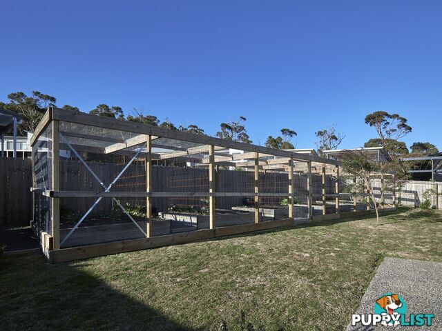 52 Gordon St BICHENO TAS 7215