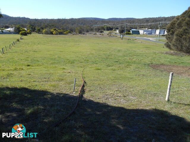 Lot 80 Swanwick Road COLES BAY TAS 7215