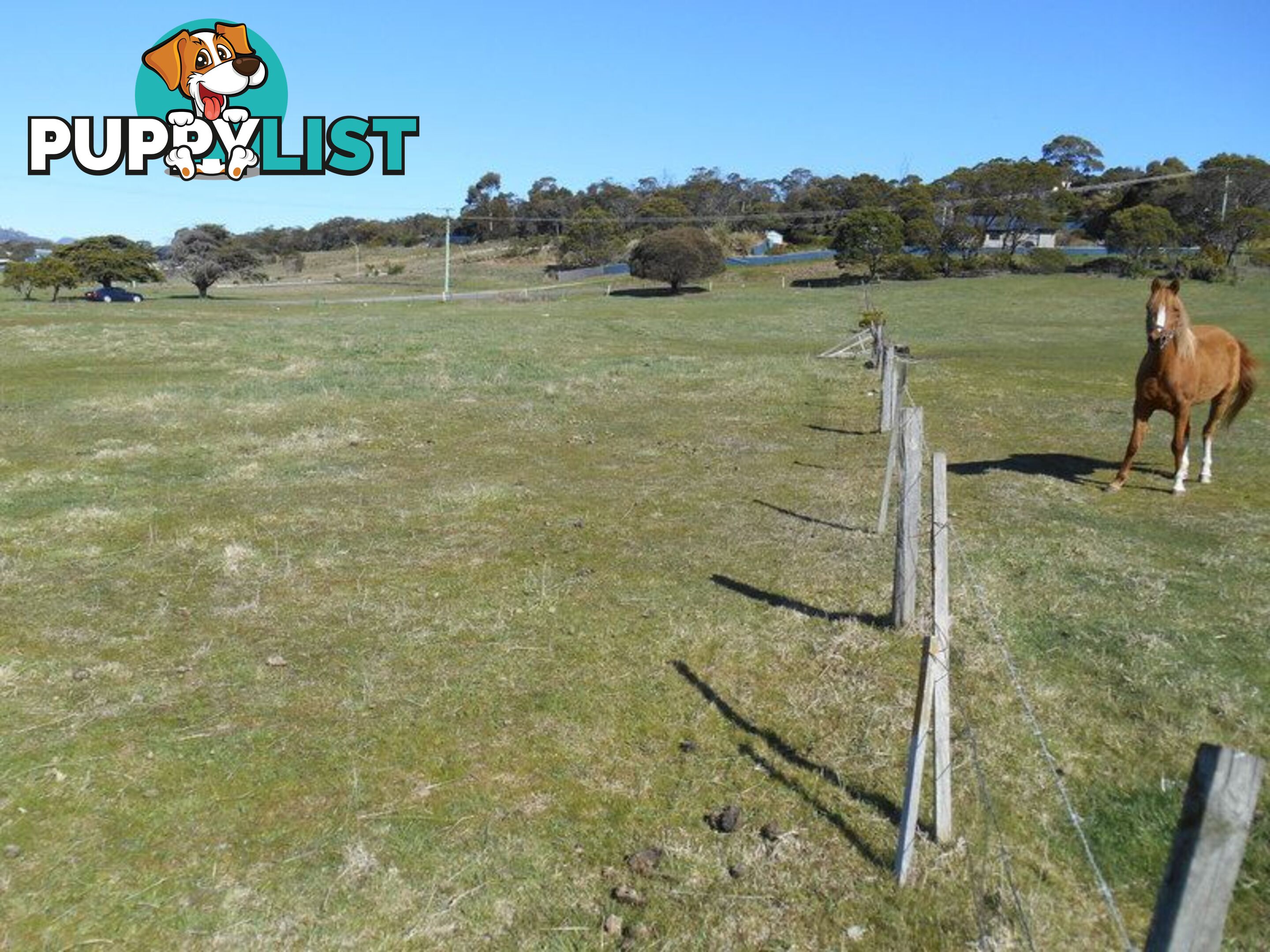 Lot 80 Swanwick Road COLES BAY TAS 7215