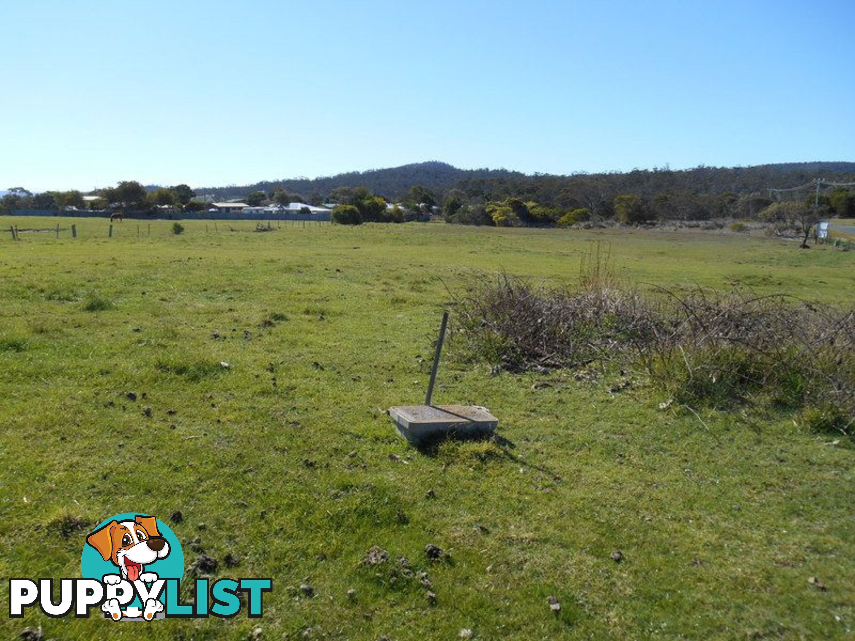 Lot 80 Swanwick Road COLES BAY TAS 7215