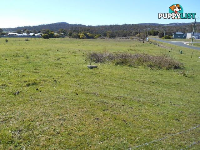 Lot 80 Swanwick Road COLES BAY TAS 7215