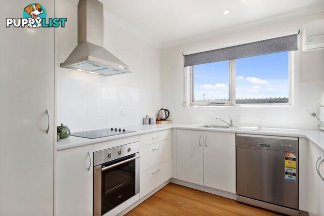 8 Rose Street BICHENO TAS 7215