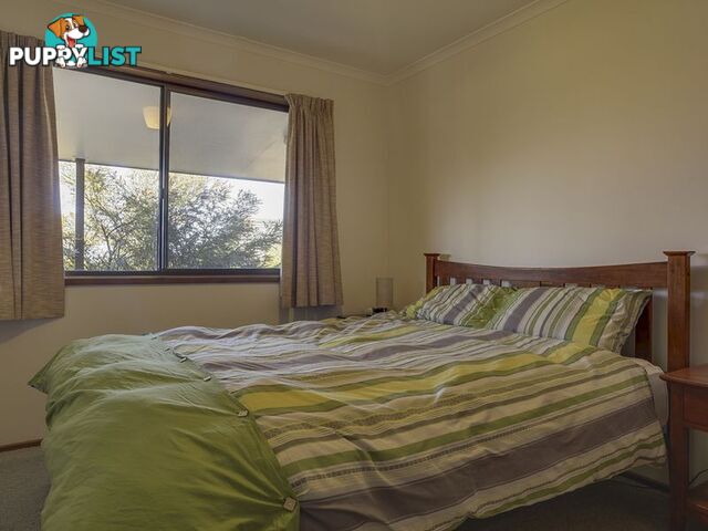 21 Allen Street BICHENO TAS 7215